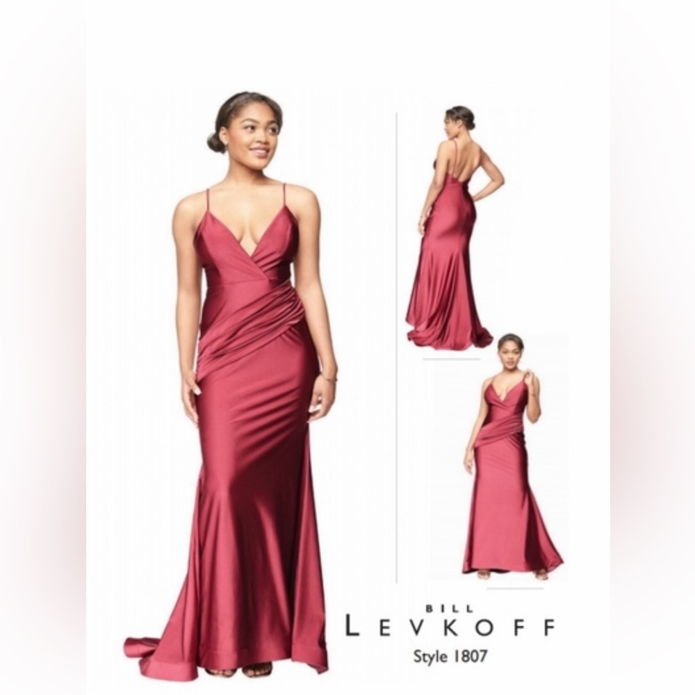NWT Bill Levkoff dress